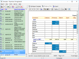 Integrated Report Preview
