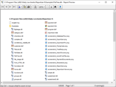Preview of File Report